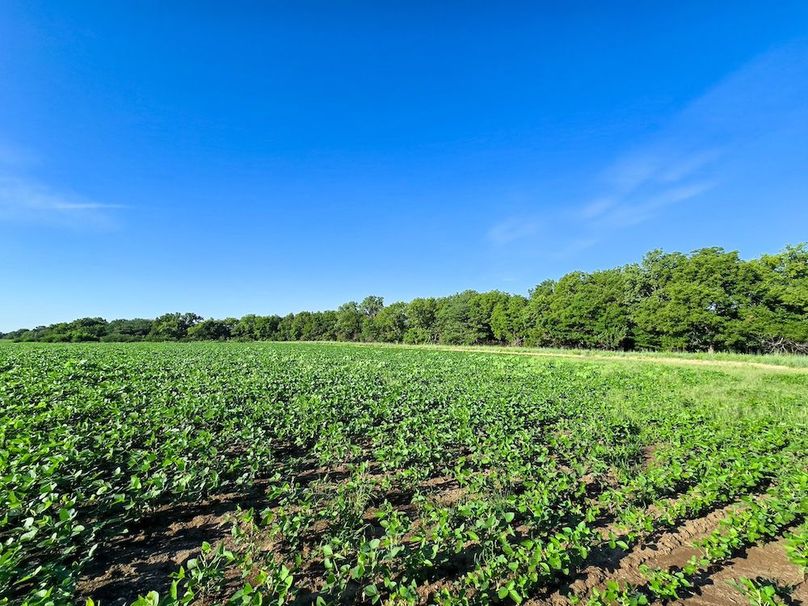 Copy of 20250729_082154