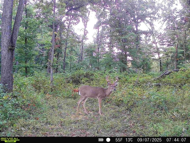 860322061882913-100-4-09072025140352-HD-SYFW0492