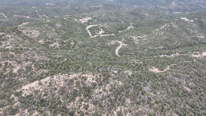 DJI_0854