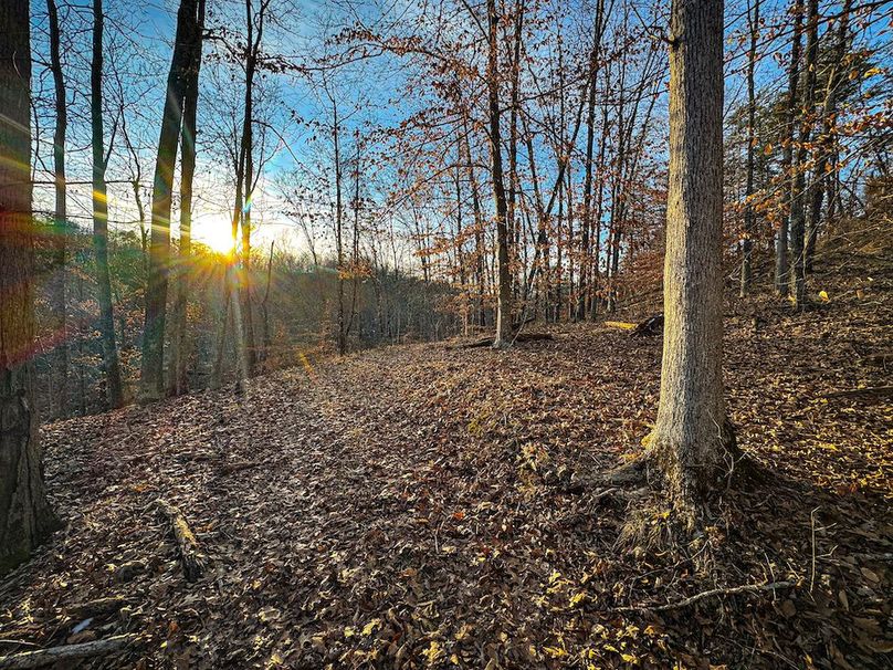 Jackson, WV 118.94 AC Shafer-089