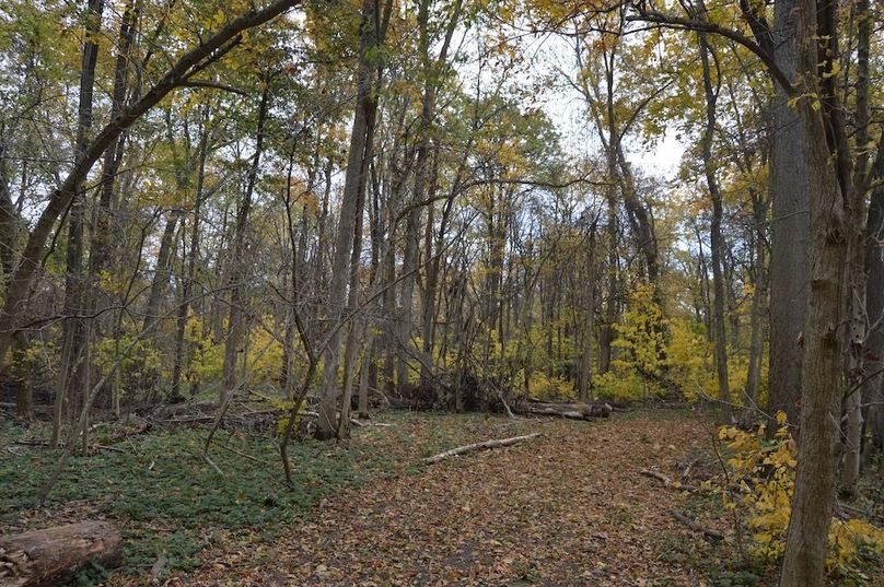 trail on west side to back of property