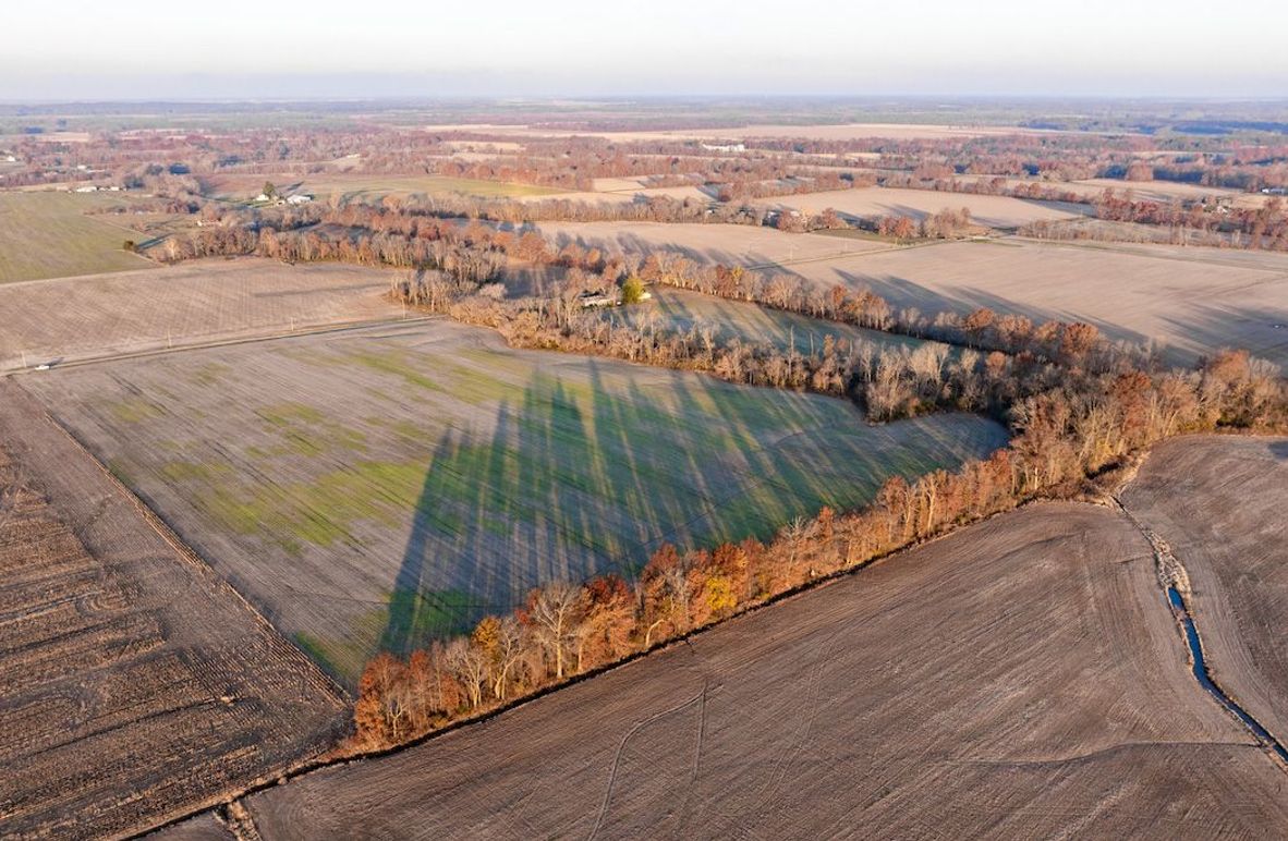 Copy of DJI_20241129073655_0003_D