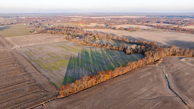 Copy of DJI_20241129073655_0003_D