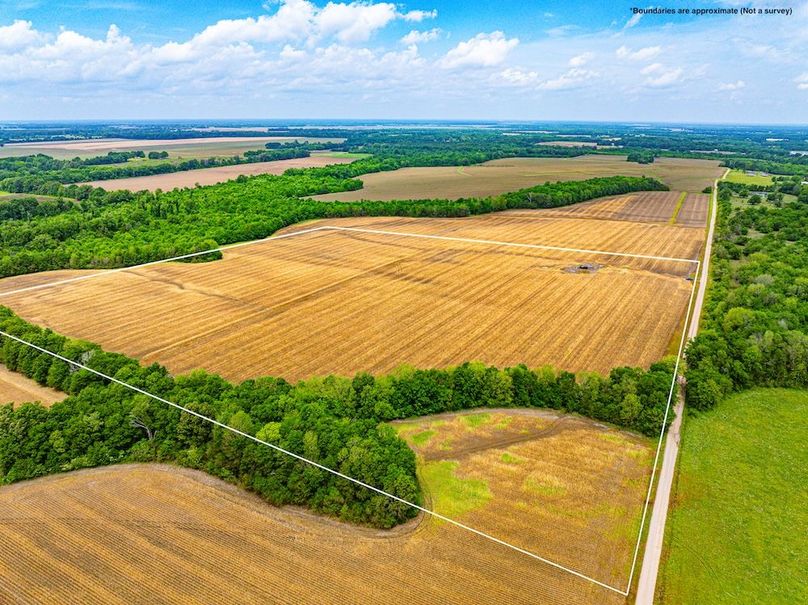 Copy of Noxubee 40 Tract 2-01