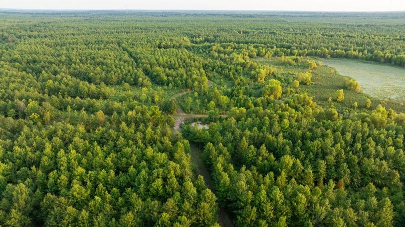 MadisonParLa1372-072