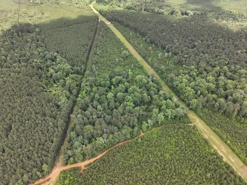 dji_fly_20260522_105524_0076_1779490428353_photo