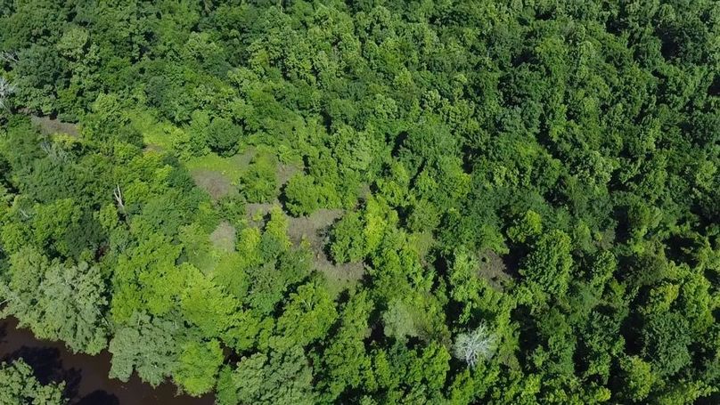 2024-06-01-10-33-42-788