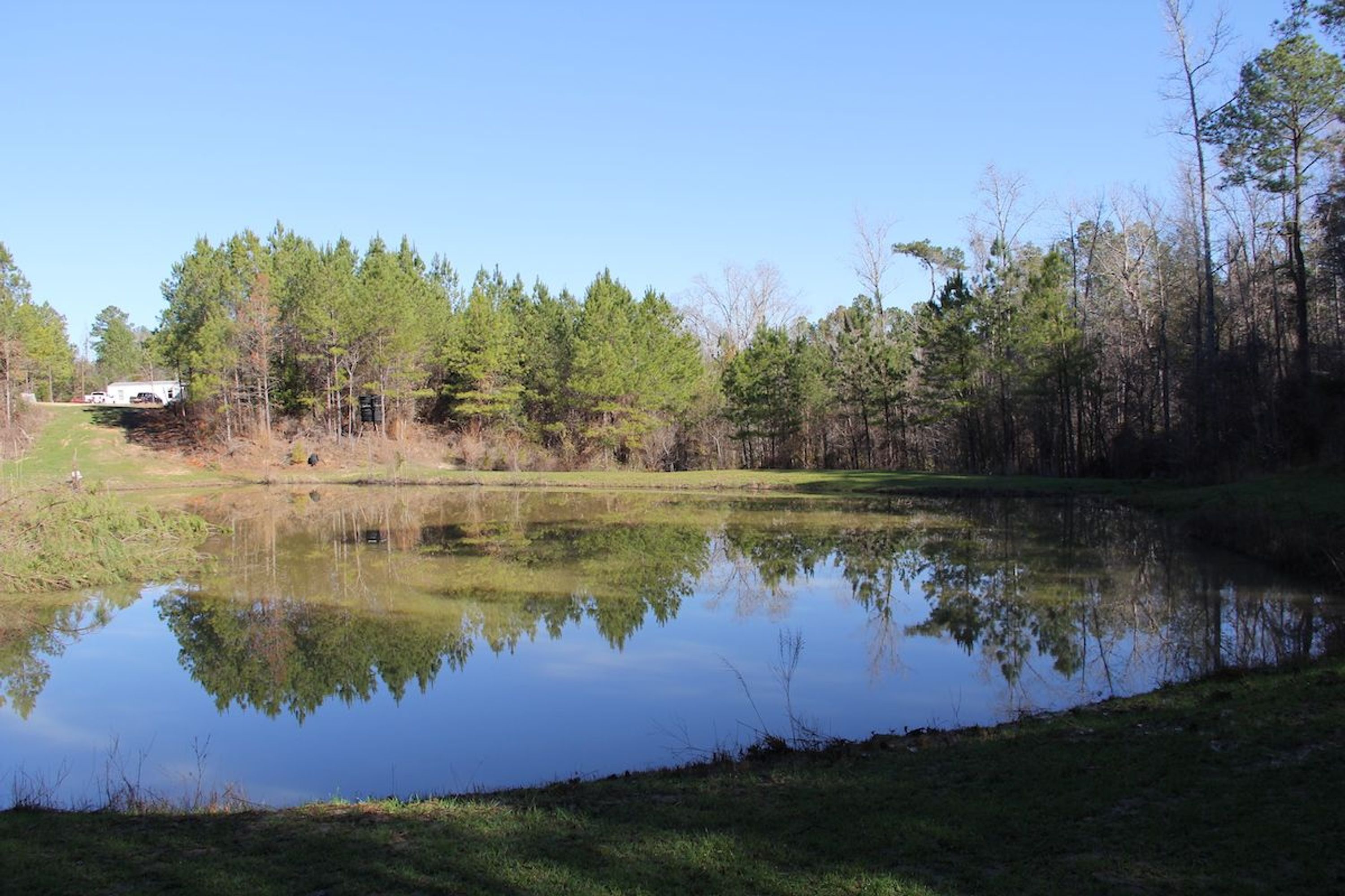 Affordable Turn Key Tract Adjoining The Homochitto National Forest