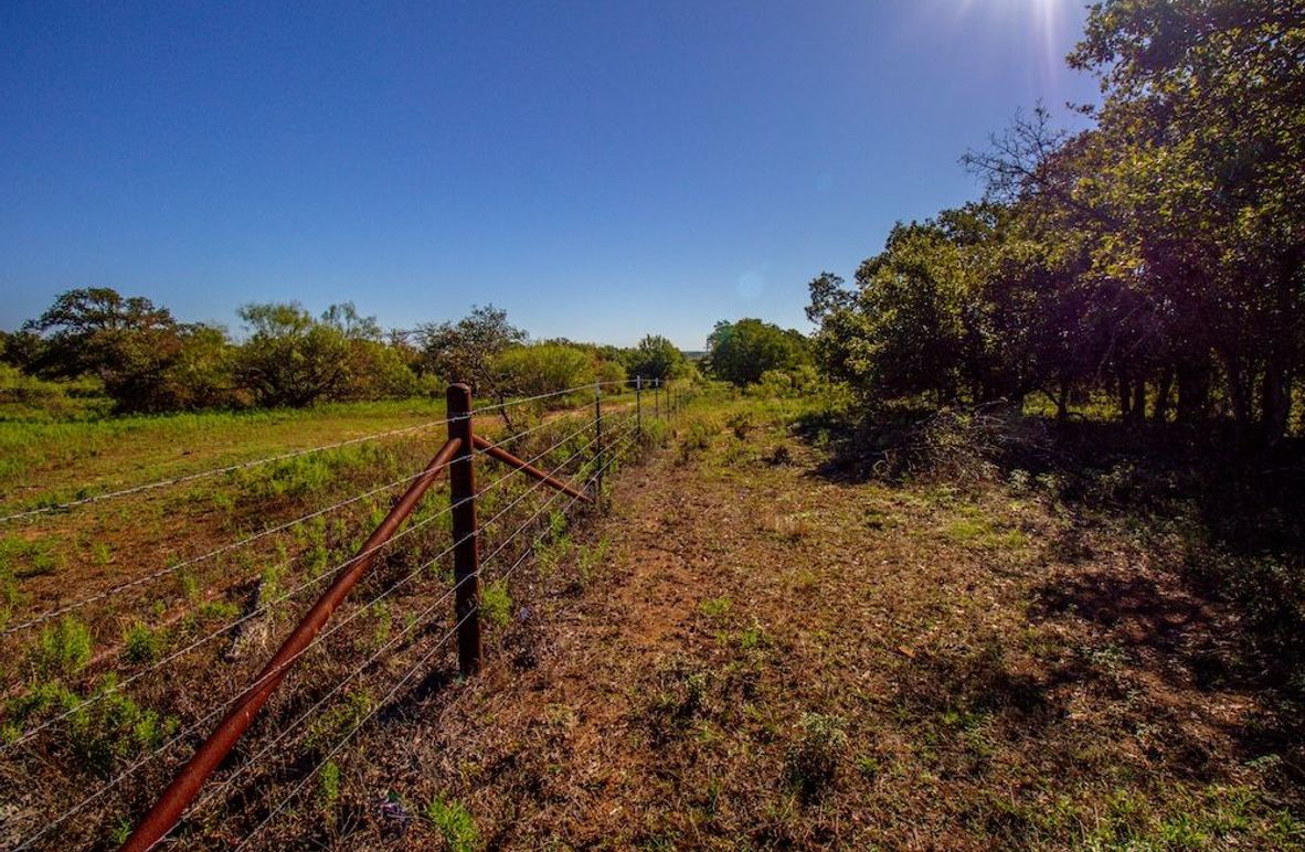 7. North Fenceline