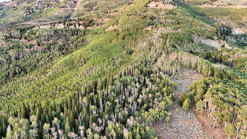 DJI_20250726190843_0292_D