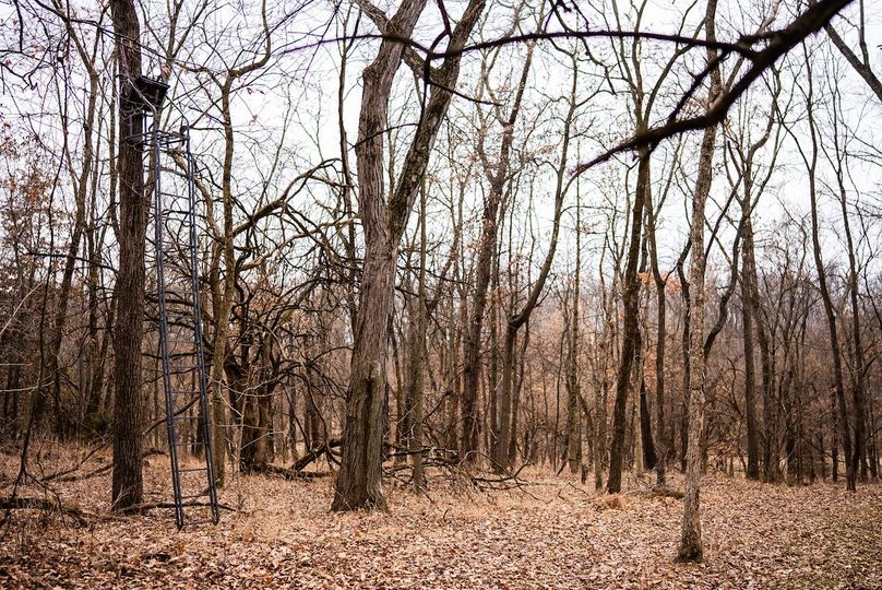 Pike IL 96.87 Adv Pro Photo-50