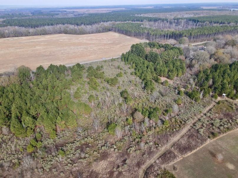 dji_fly_20251205_124900_921_1765034350961_photo