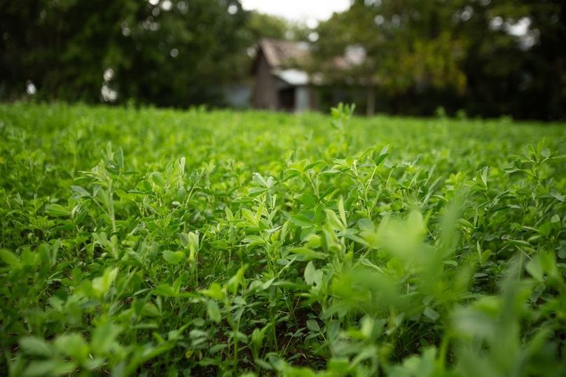 FREMONT CO IA 10.25_20