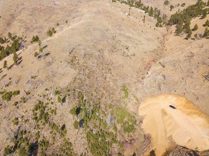 20250410-DJI_0028