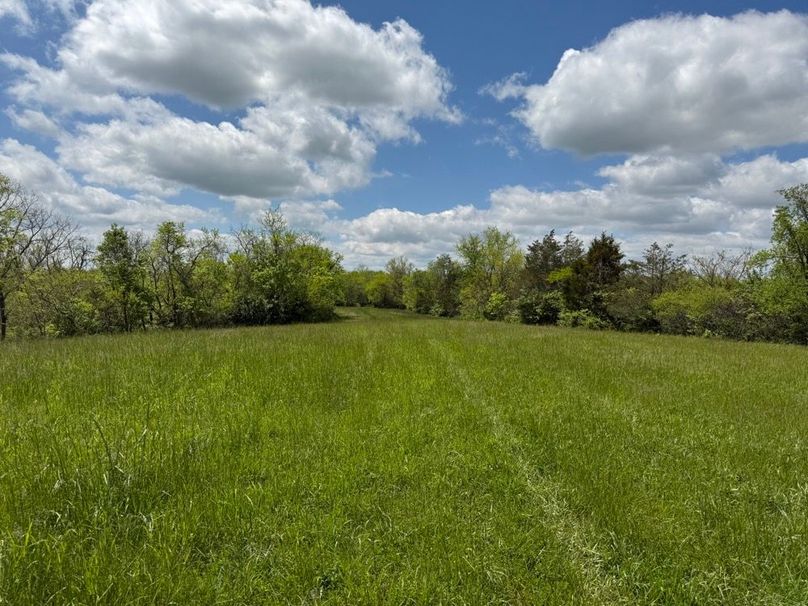 028 beautiful field in the interior of the property, perfect for a home or foodplot