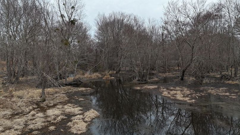 dji_fly_20260218_164746_0041_1771452052985_photo