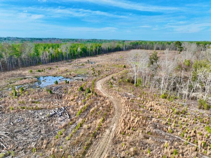 6973F1FD-73C1-4C03-AA26-B7D83FE929C3_1_201_a