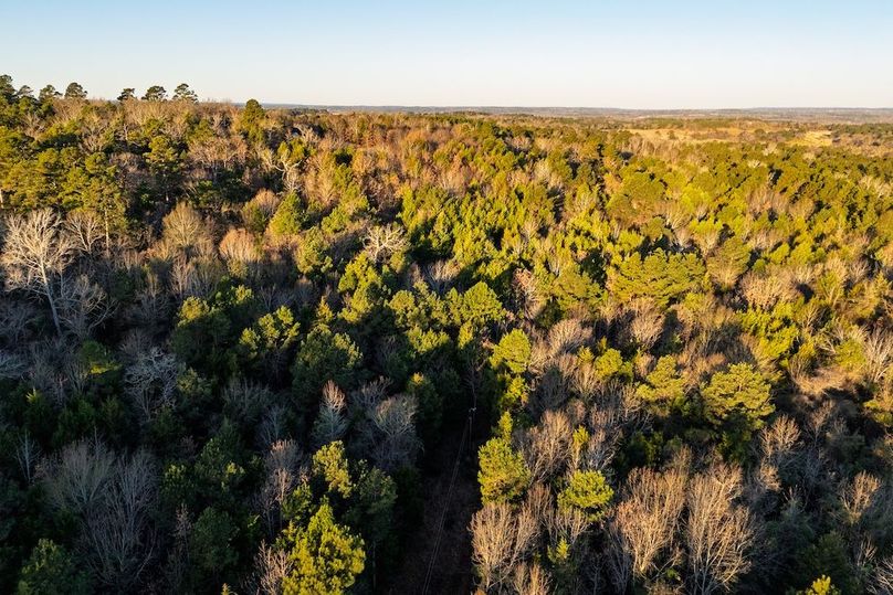 DJI_20260116075720_0029_D