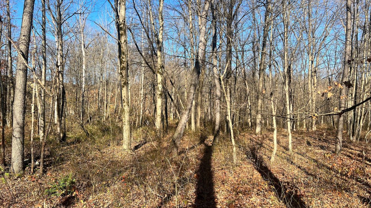 Home With Beautiful Property In NE Ohio Whitetail Properties