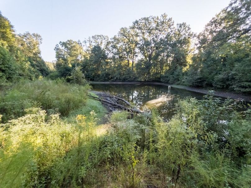 Hinds Co - 78 - Newman-42