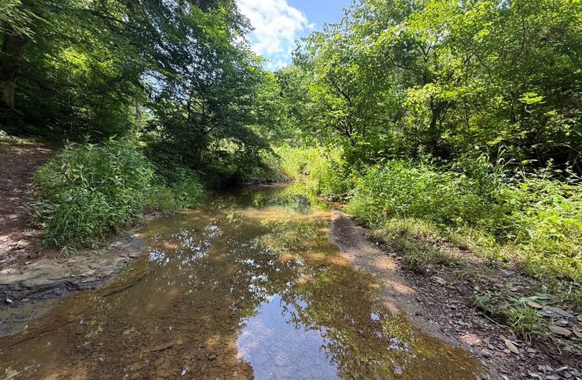 002 the blue line stream flowing through the property