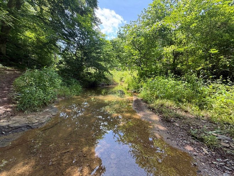 002 the blue line stream flowing through the property