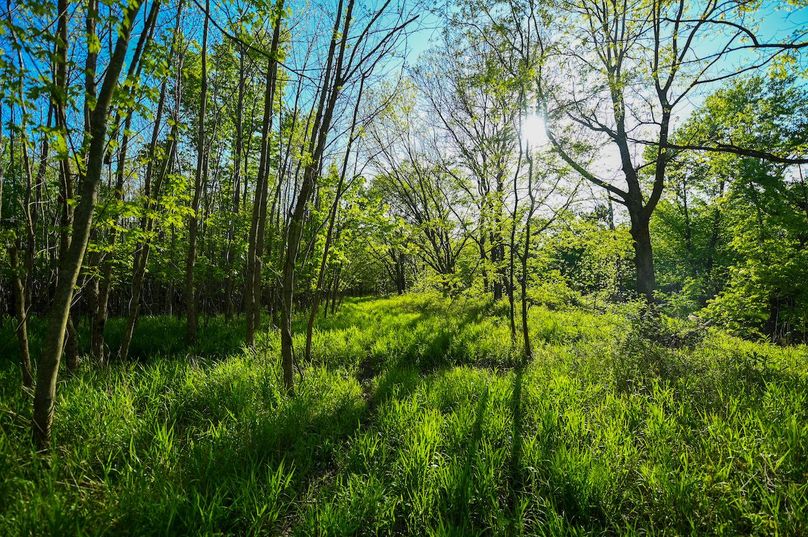 vandalia 450 (2)-3040