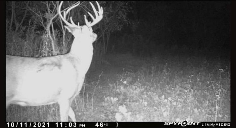 Screenshot_20220717-161043_Facebook