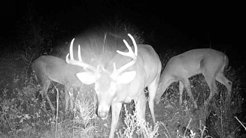 23121105312001008333