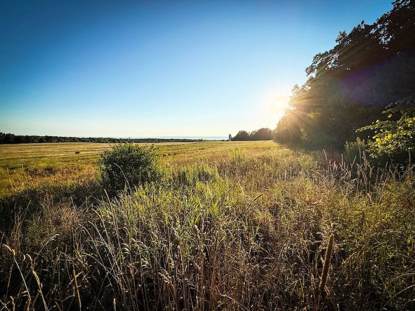 Copy of Wood Tract 2 Photo 22