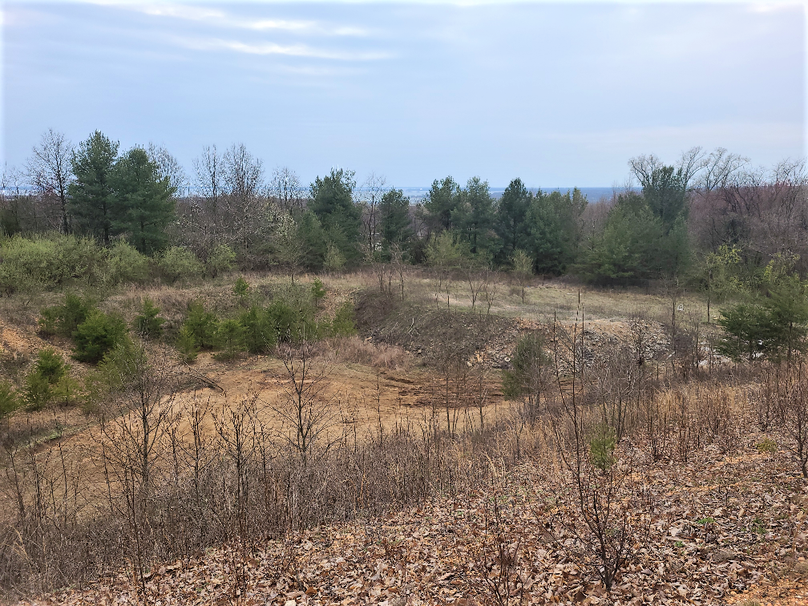 2.87ac_CokesburyRd_CECIL_MAIN PHOTO