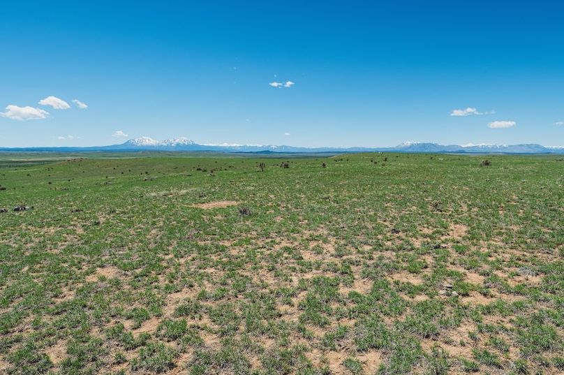 Huerfano Co 35.81 Bennett Outdoor Services -4