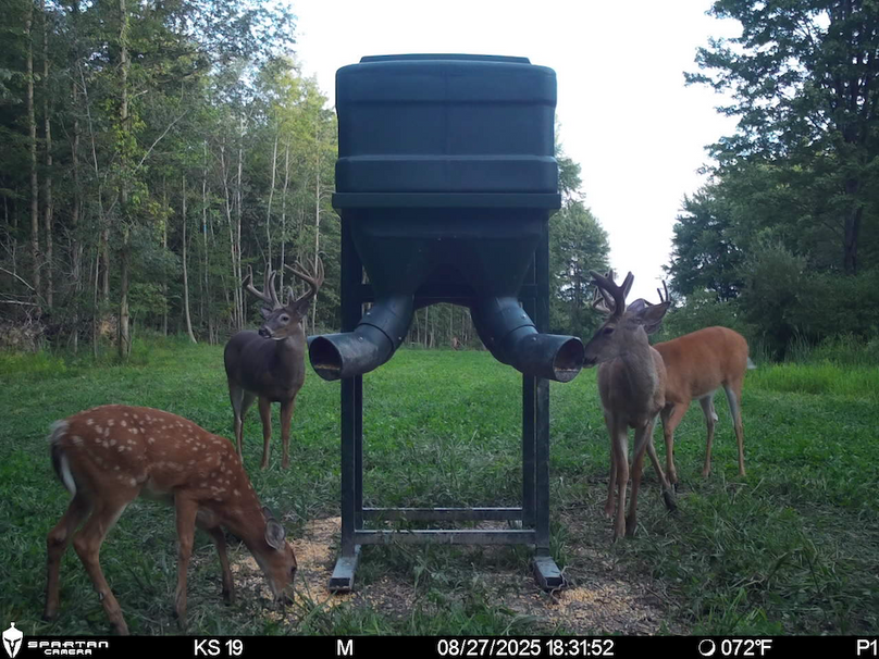 File Aug 27 2025, 7 34 37 PM