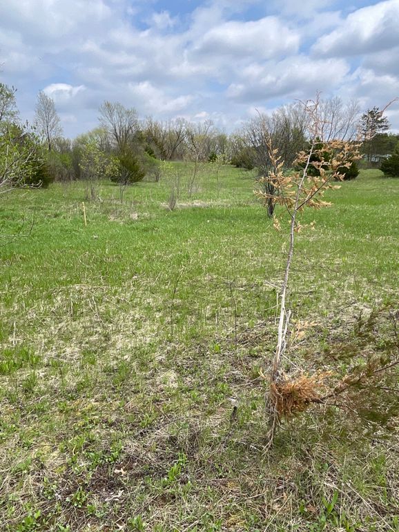 St.Croix4.56Conway-011