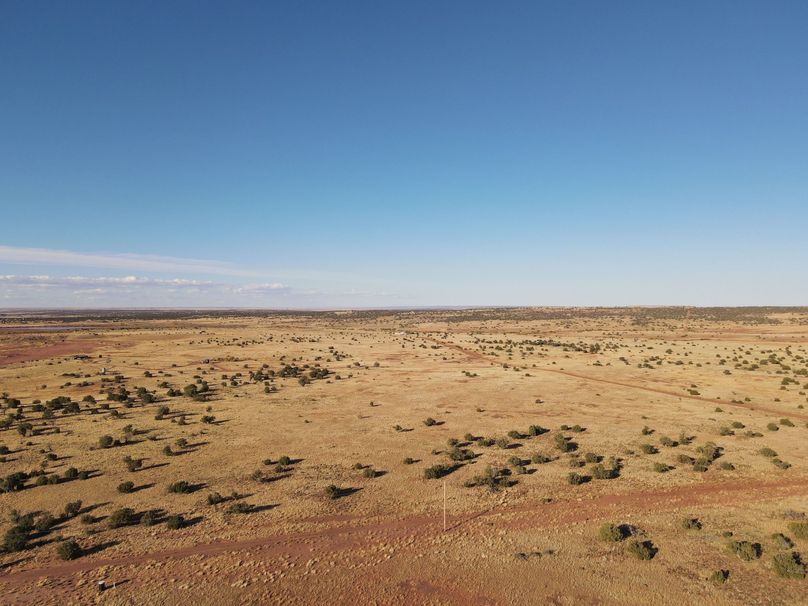 dji_fly_20231027_155704_150_1698449282215_photo