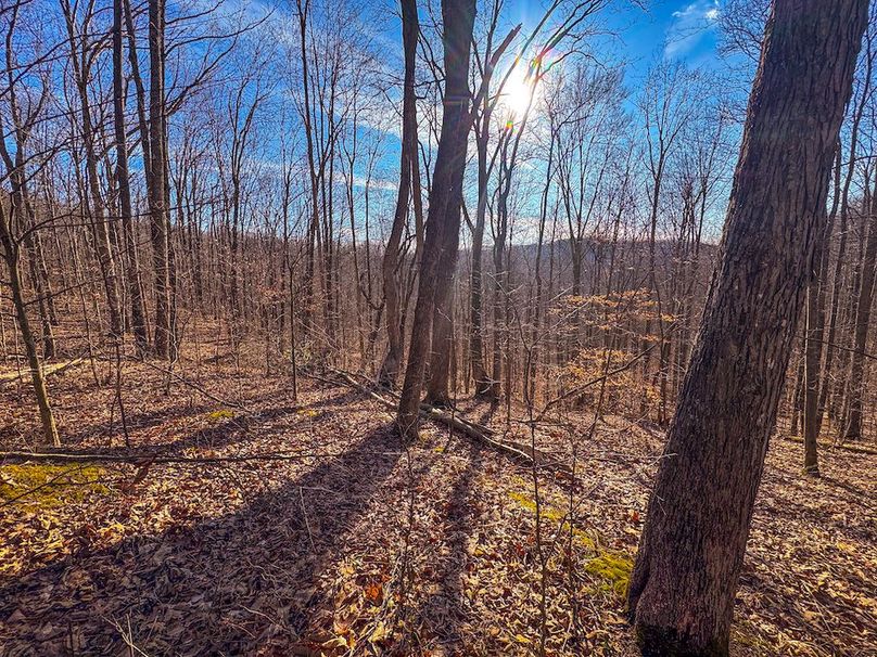 Lewis, WV 82.87 AC Barger-26