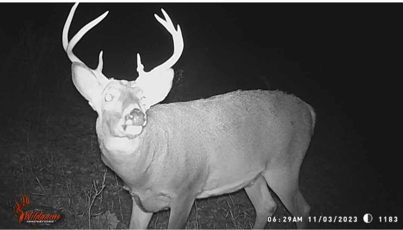 received_1595212654591973