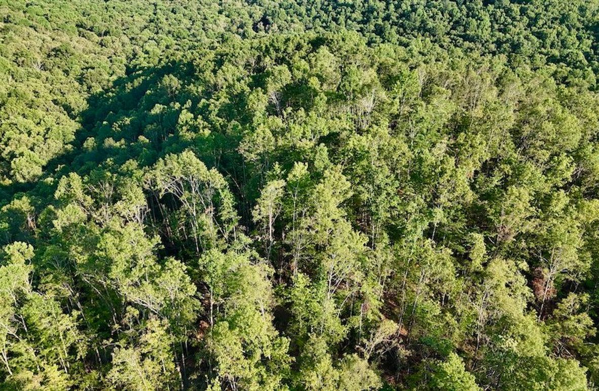 DJI_20250724190906_0005_D