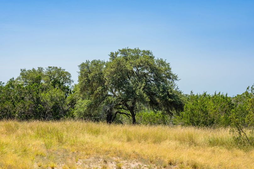 8-web-or-mls-DSC08224