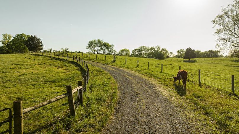 098-466 Montana Hall Lane_Melissa Crider_Absolute Altitude_May24-34