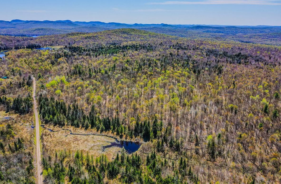 Franklin County NY 103 Bigtooth Properties Drone Picture 1