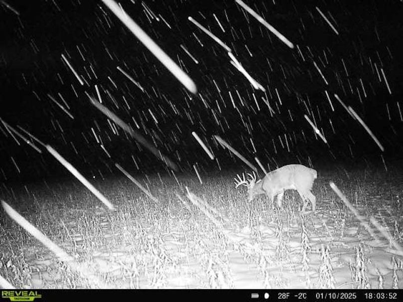 864049057158471-100-4-01102025180352-W1022410