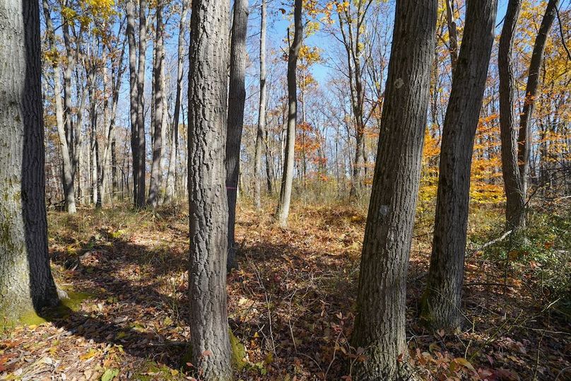 Somerset, 10.91, Tinkey-28