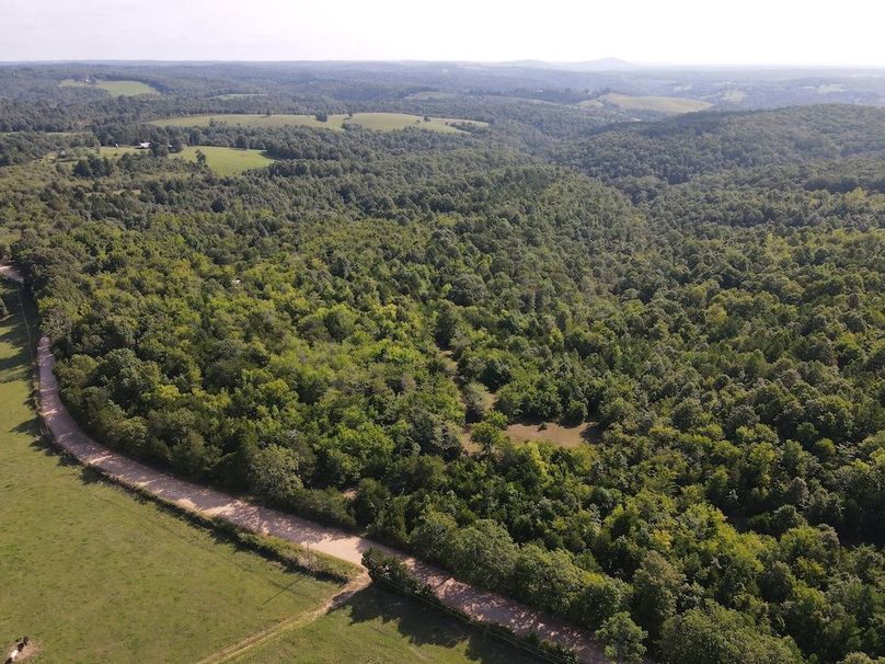 dji_fly_20240808_095456_307_1723128921014_photo