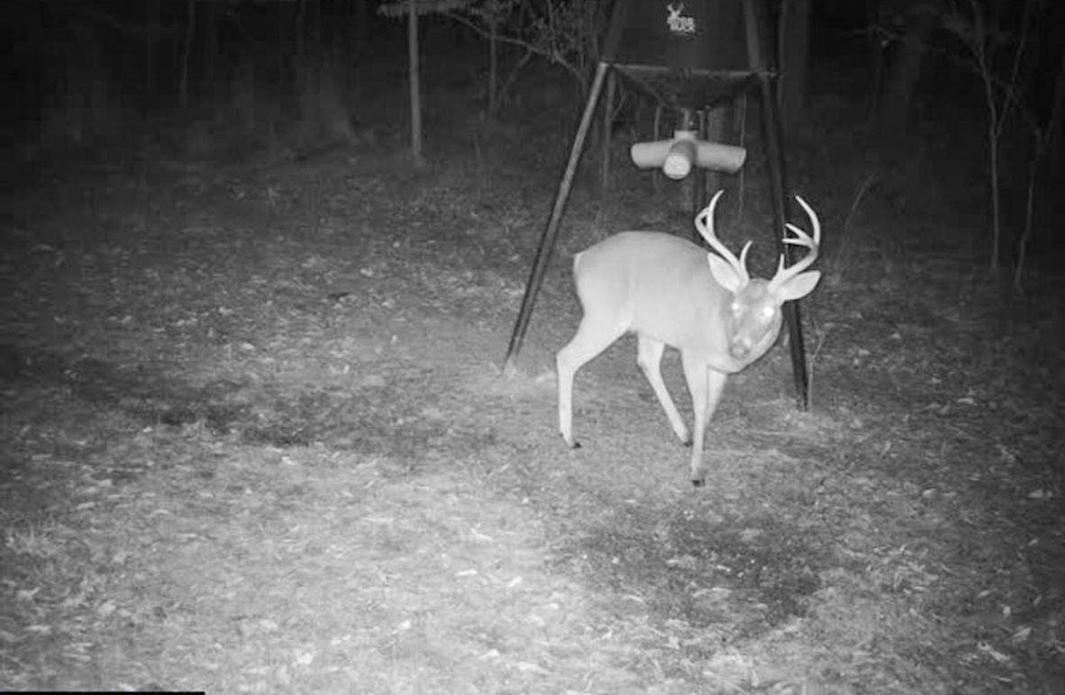 Holmes County - 108 - Rodriguez-6