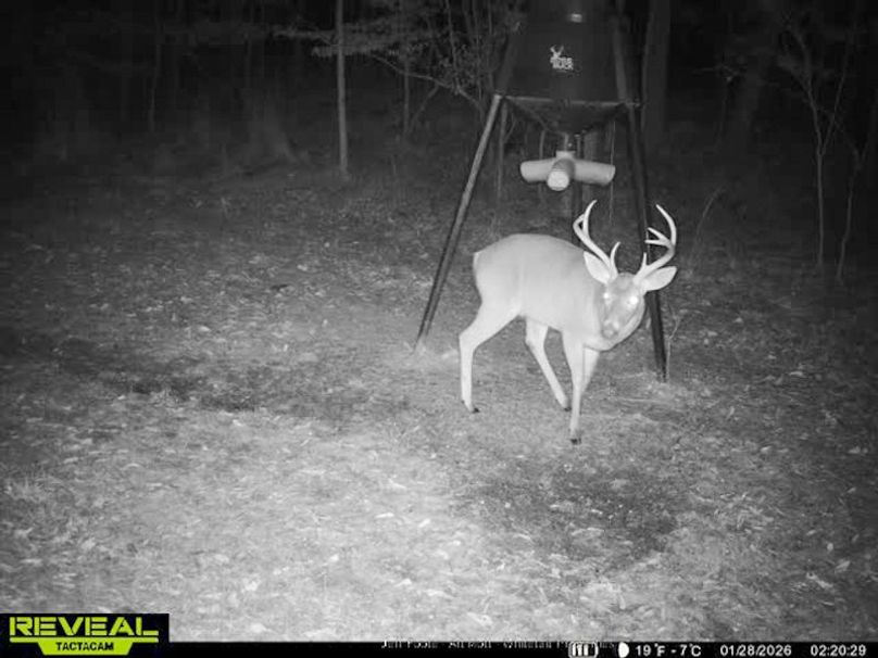 Holmes County - 108 - Rodriguez-6