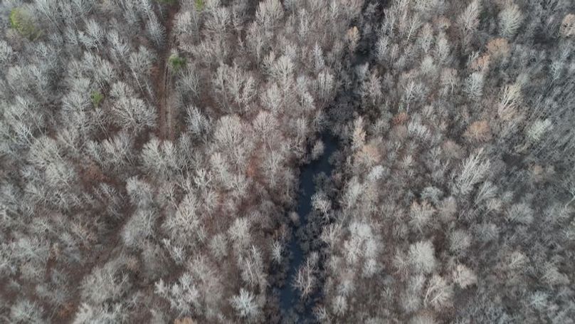 311 new20260217_0464