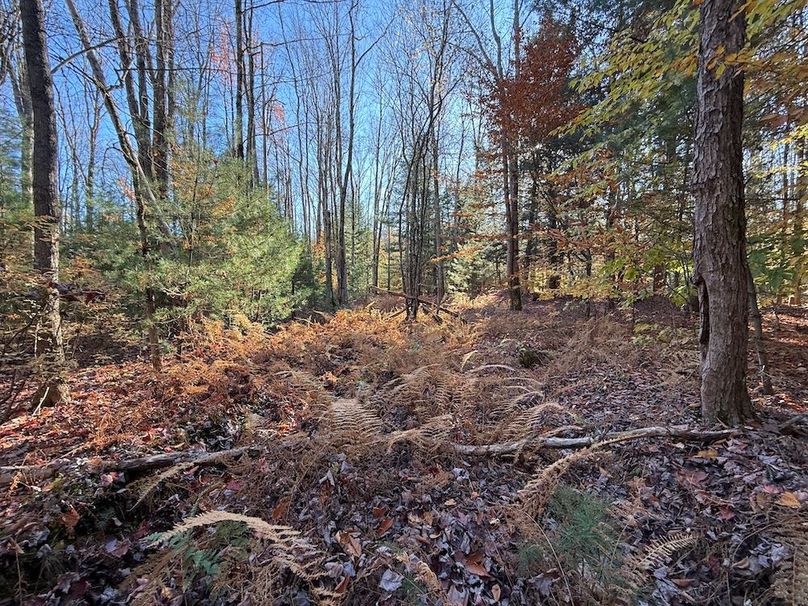 Oswego_26.28_Koehler Photo 14