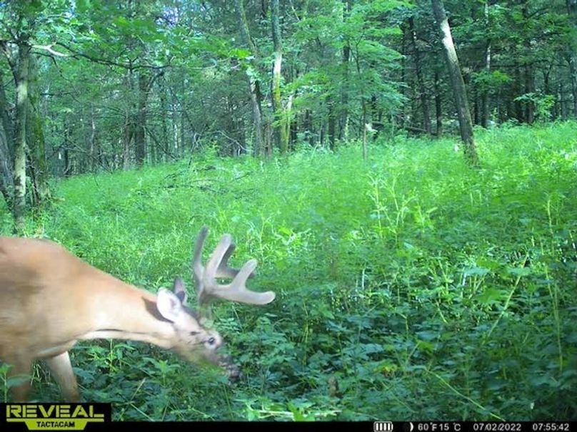 10951224-533a-410c-912f-c2a4140ca1e0