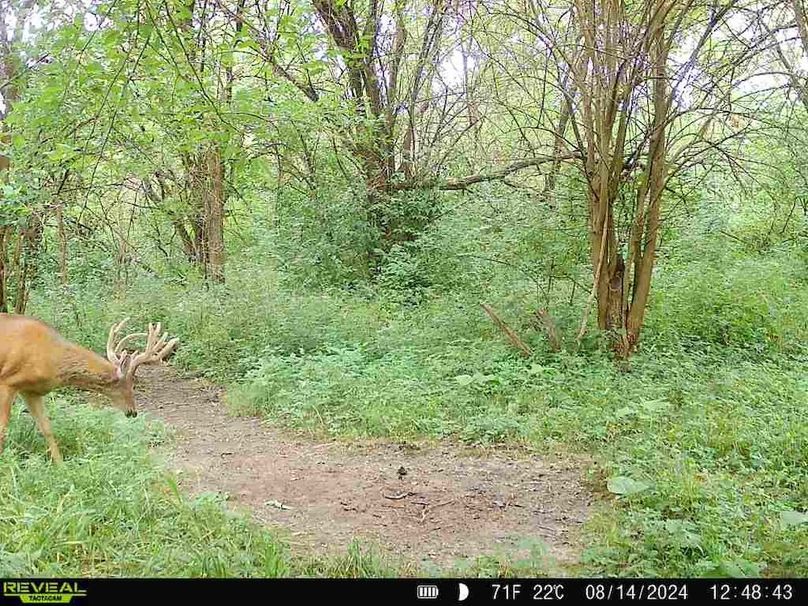 860322062166886-60-4-08142024124842-V-W1002372